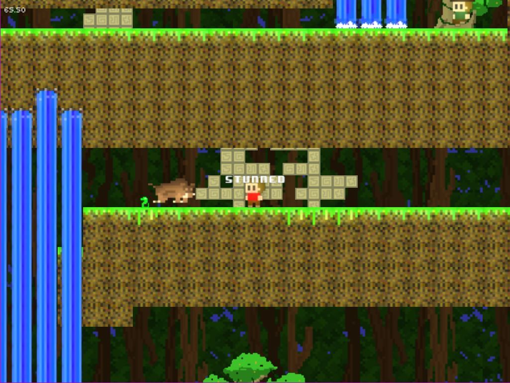 The Jungle