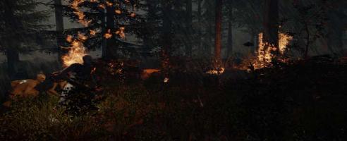 Rift-Survival-Horror The Forest erhält neue Screenshots