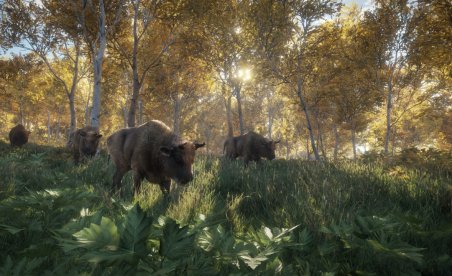 theHunter Call of the Wild v1.16 (+13 Entrenador)