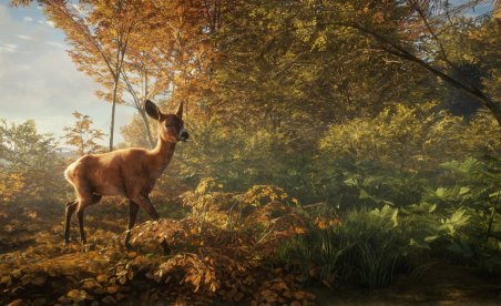 theHunter Call of the Wild v1.0-v1.21 (+13 Entrenador)