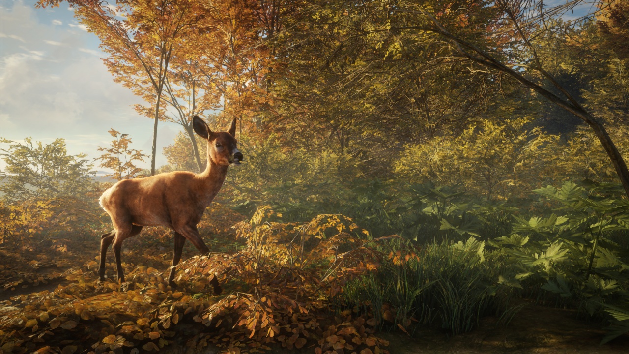theHunter Call of the Wild v1.0-v1.21 (+13 Trainer)