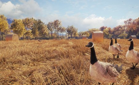 theHunter: Call of the Wild v1.0-v1939208 (+15 Trainer)