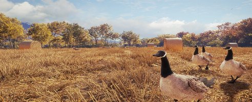 theHunter: Ruf der Wildnis v1.0-v1939208 (+15 Trainer)