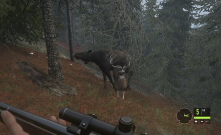 theHunter Call of the Wild v1.17 (+13 Trainer)