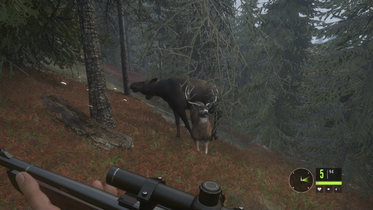 theHunter Call of the Wild v1.17 (+13 Entrenador)