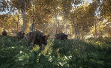 theHunter : Call of the Wild v1.0-v1.19 (+13 Trainer)