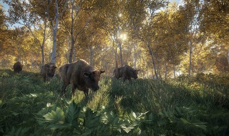 theHunter: Call of the Wild v1.0-v1.19 (+13 Trainer)