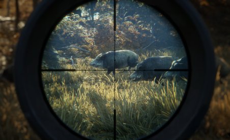theHunter: Ruf der Wildnis x64 v1.9.1 (+12 Trainer)