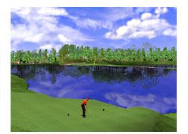 Tiger Woods PGA Tour 2001