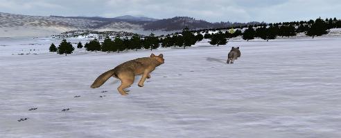 WolfQuest