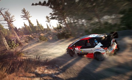 WRC 8 (+1 Trainer)