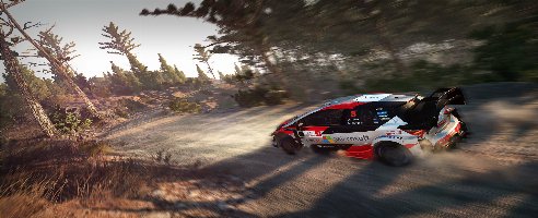 WRC 8 (+1 Trainer)