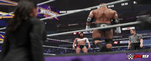 WWE 2K19 v1.04 (+1 Entrenador)