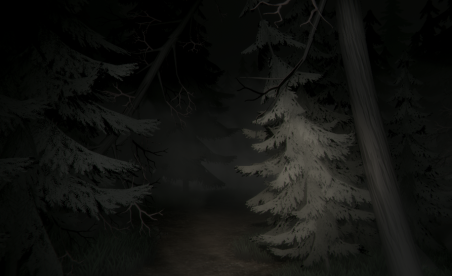 Forest Ranger Services: The Pilot