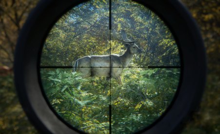theHunter: Call of the Wild v2957118 (+17 Entrenador)