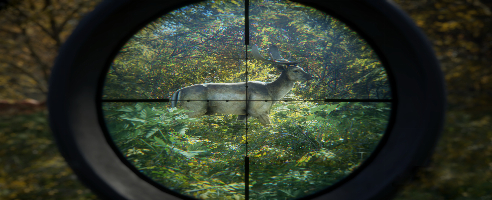theHunter: Ruf der Wildnis