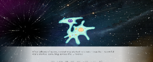 Dawn of the Universe