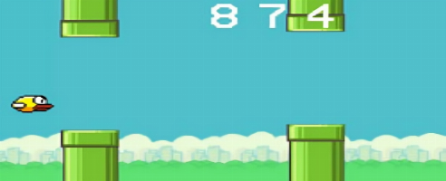Flappy Birdy!