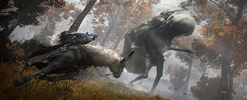 Deine Maus könnte dein Elden Ring-Gameplay ruinieren