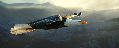 Fallout 4 I BELIVE I CAN FLY Mod v1.0