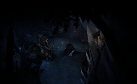 Ordre des plantes vivaces