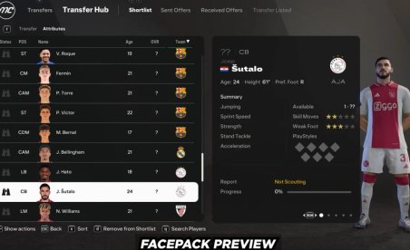 EA SPORTS FC 25 Facepack AIO Mod v1.0