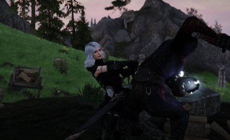 The Elder Scrolls V : Skyrim Special Edition Ashe - Crystal Heart Mod v1.0.2