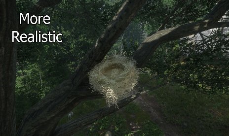 Kingdom Come: Deliverance II Nidos de pájaros fáciles de ver Mod v1.1
