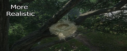 Kingdom Come: Deliverance II Easy To See Bird Nests Mod v1.1