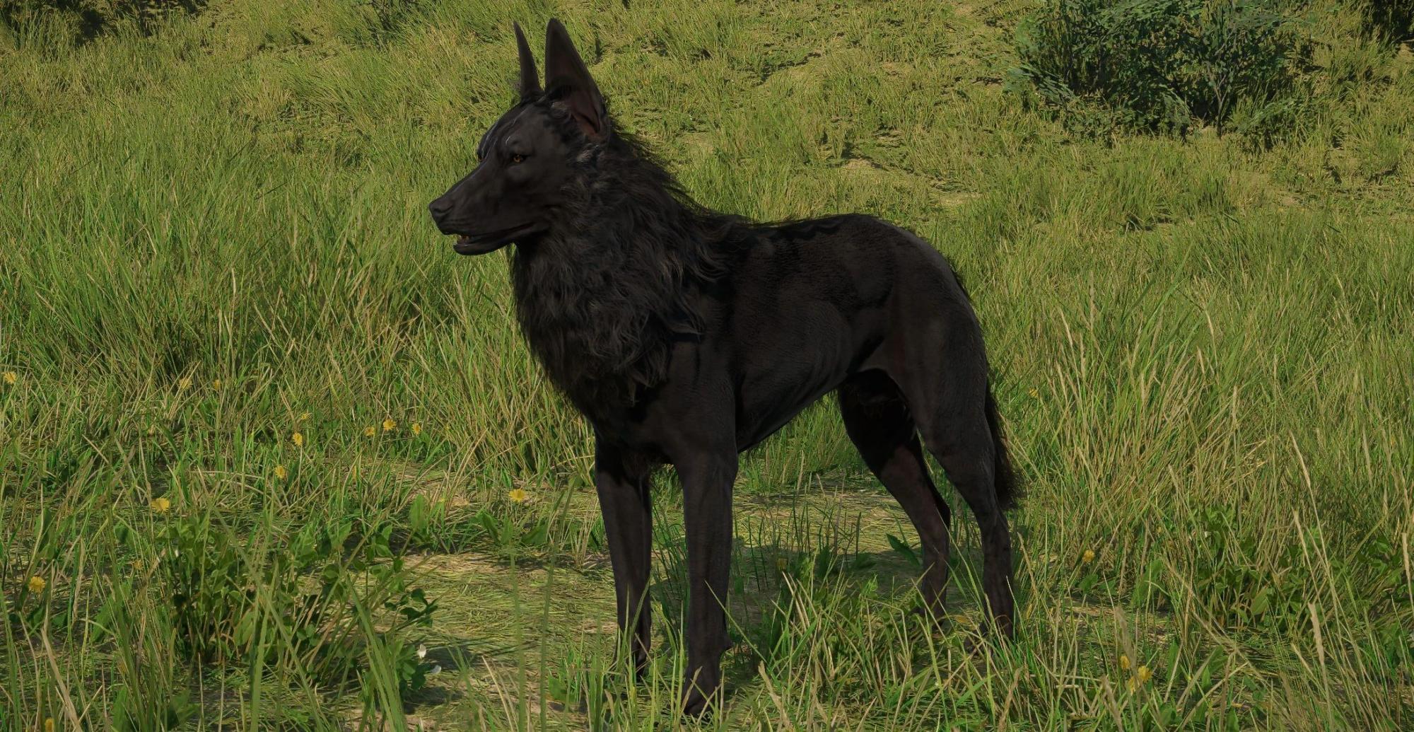 Kingdom Come: Deliverance II Hellhound PTF Mod v1.0