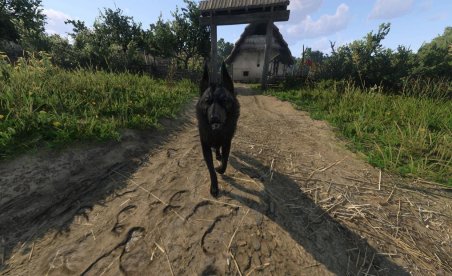 Kingdom Come : Deliverance II Hellhound PTF Mod v1.0