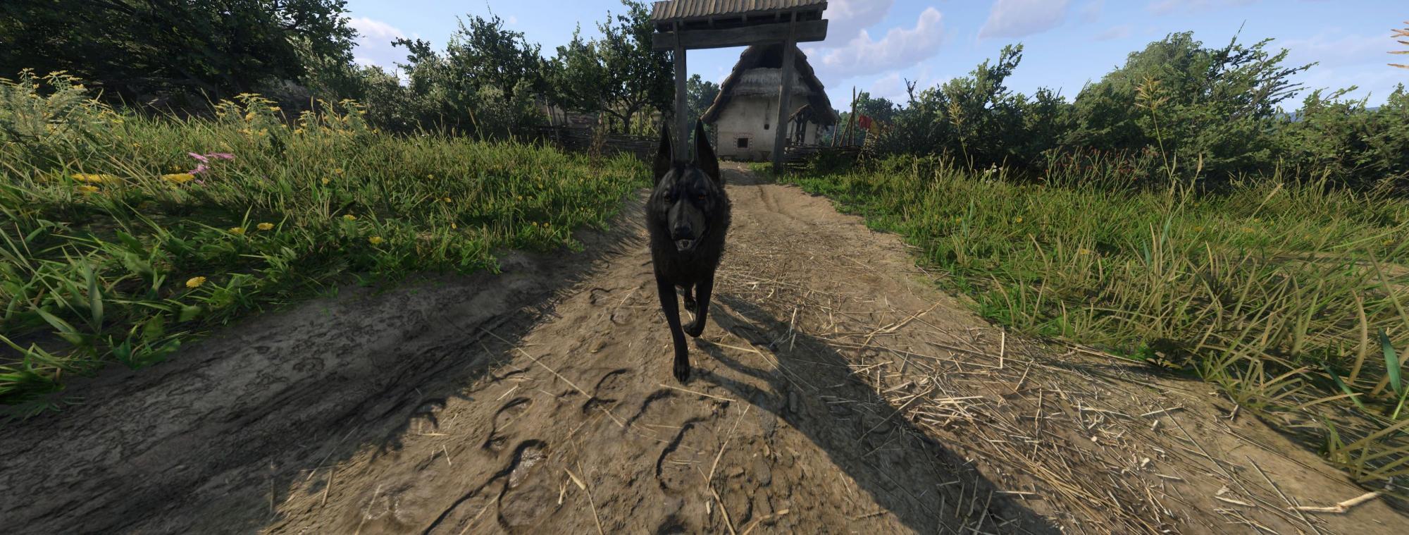 Kingdom Come: Deliverance II Hellhound PTF Mod v1.0