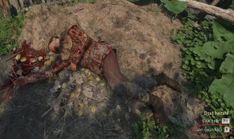 Kingdom Come: Deliverance II Loot Info - Container is empty or I already opened-looted it Mod v1.1.1