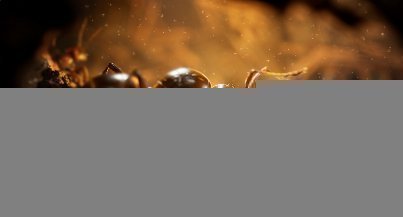 Empire of the Ants v1.0-v1.04+ (+9 Trainer) [FL...
