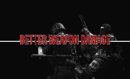 Ready or Not Better Weapon Damage (B.W.D) Mod v1.1